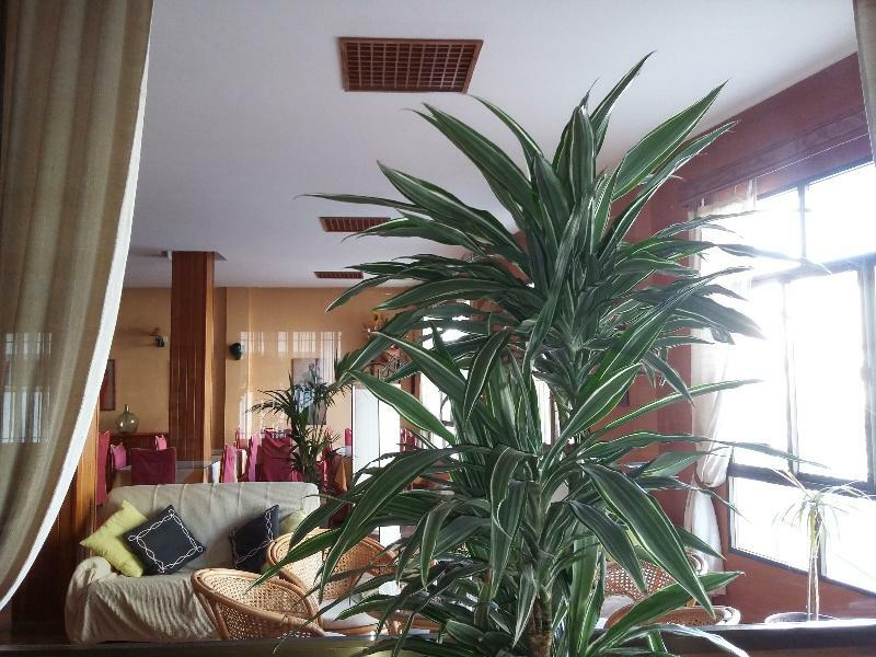 Hotel Tres Jotas Conil Кониль-де-ла-Фронтера Экстерьер фото